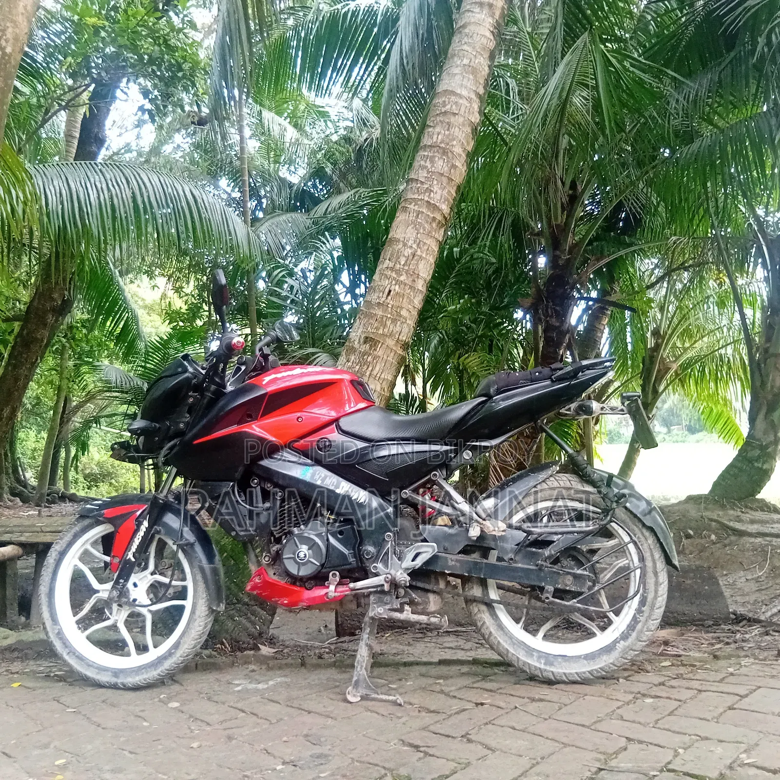 Bajaj Pulsar NS 160 2018 Red