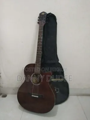 SX Accoustic Guiter