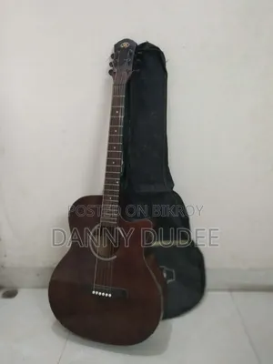 SX Accoustic Guiter