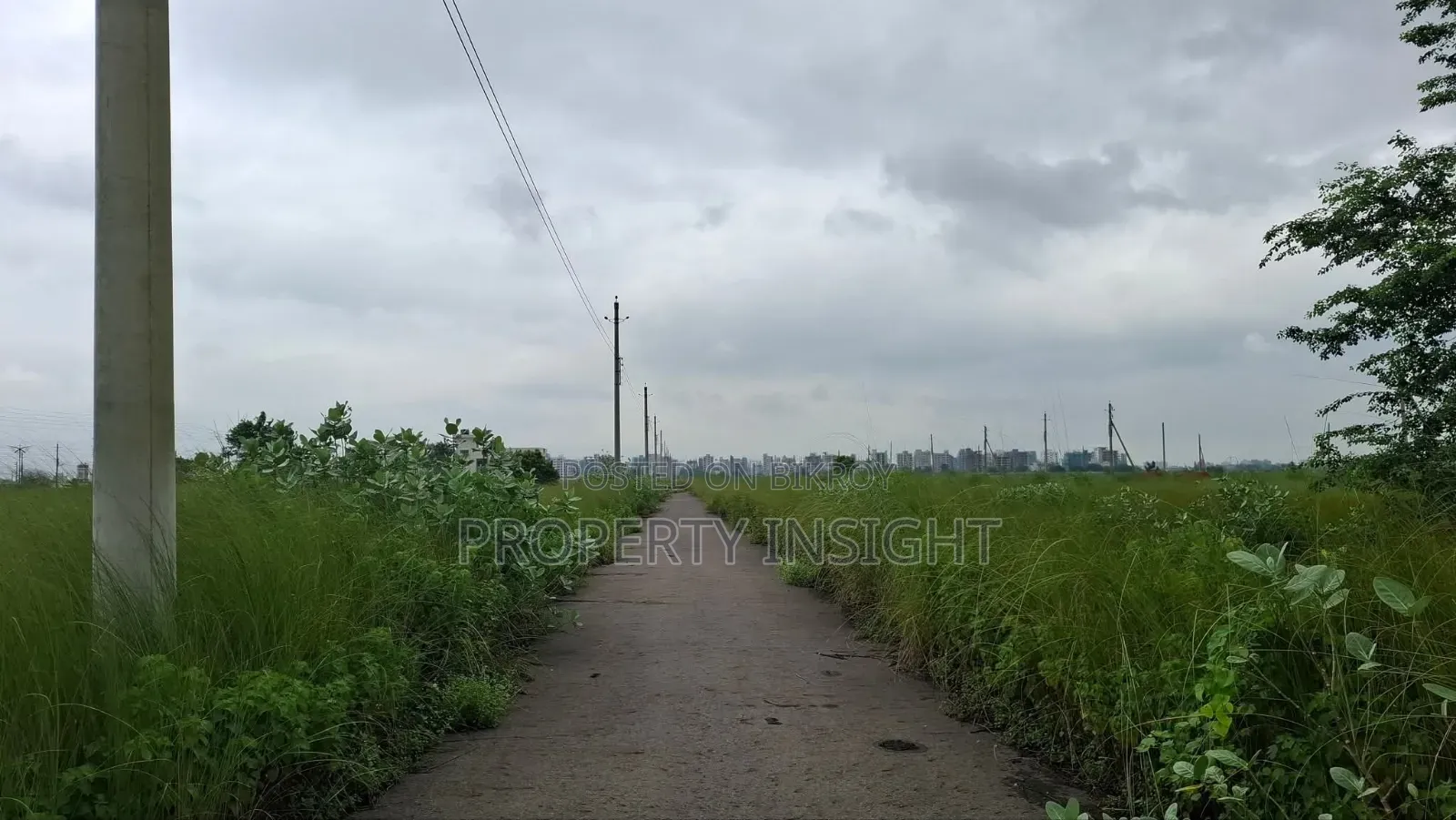 Sale : 2.5 Katha : South Facing : Aftab Nagar