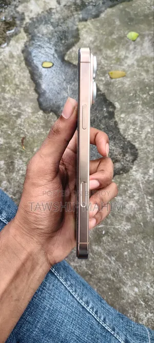 Apple iPhone 16 Pro Max 256 GB Gold