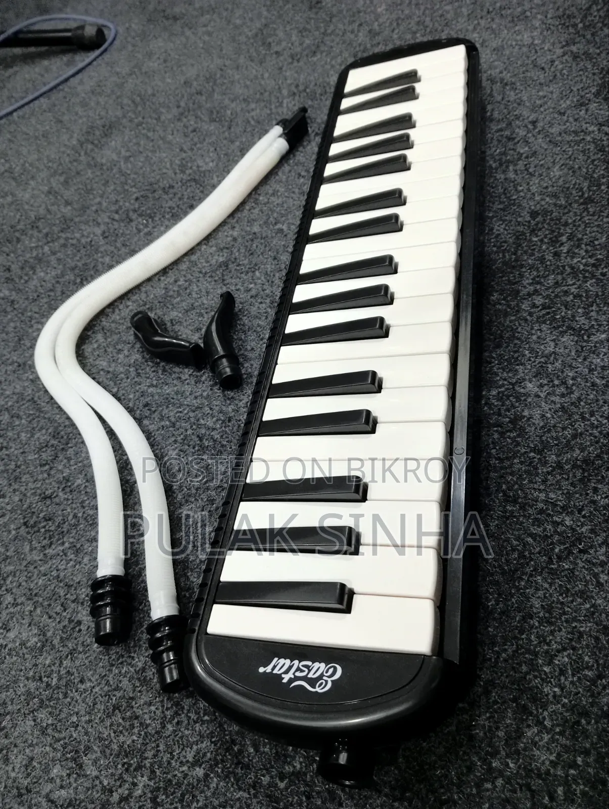 Easter Melodica 37 Keys