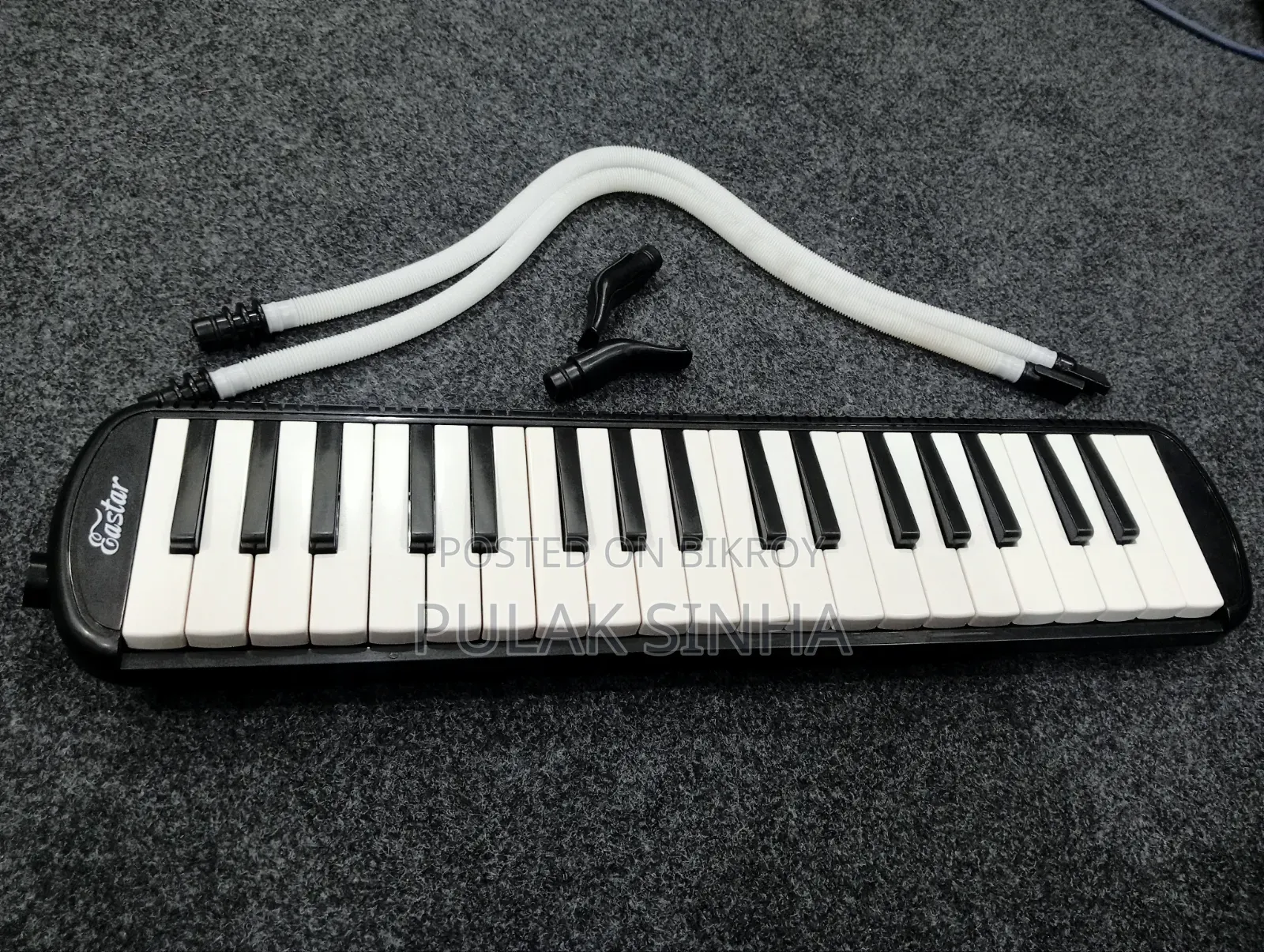 Easter Melodica 37 Keys