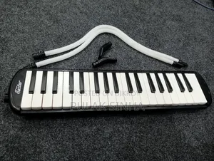 Easter Melodica 37 Keys