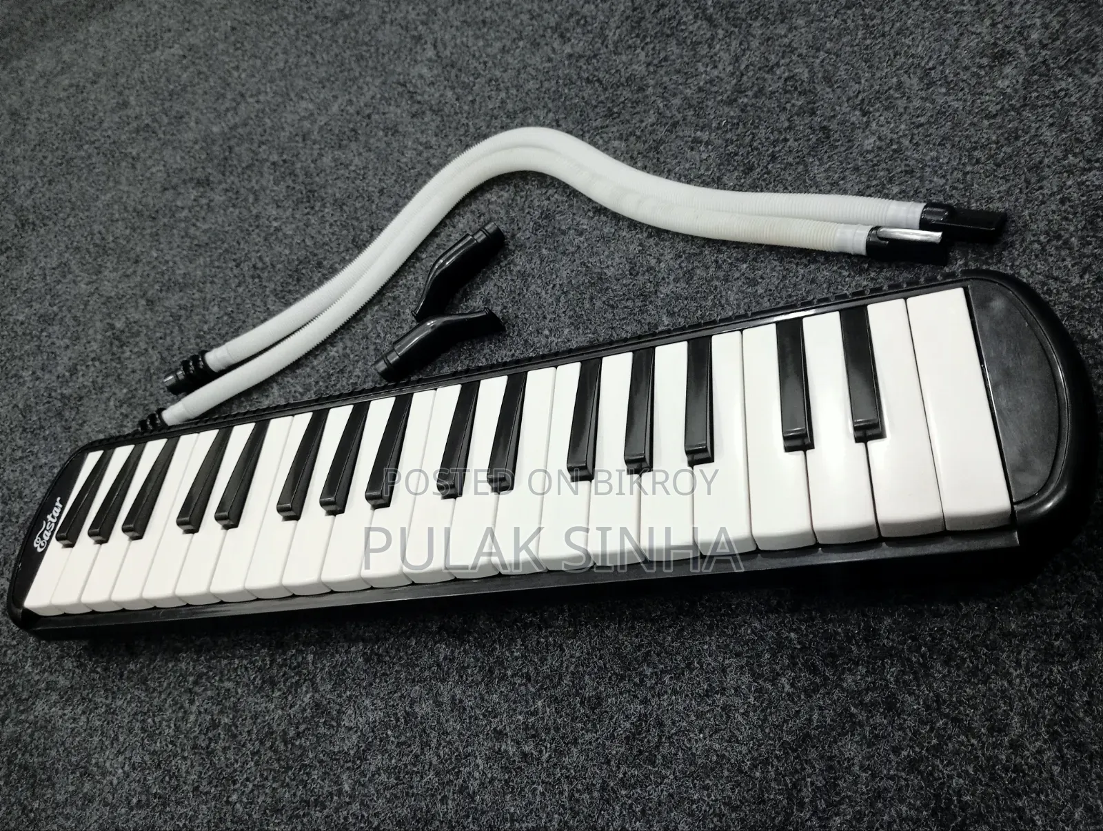 Easter Melodica 37 Keys