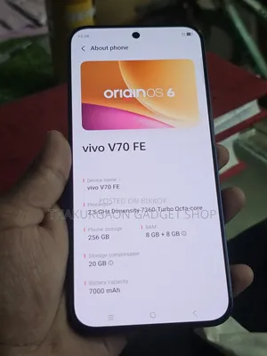 Vivo 256 GB Blue