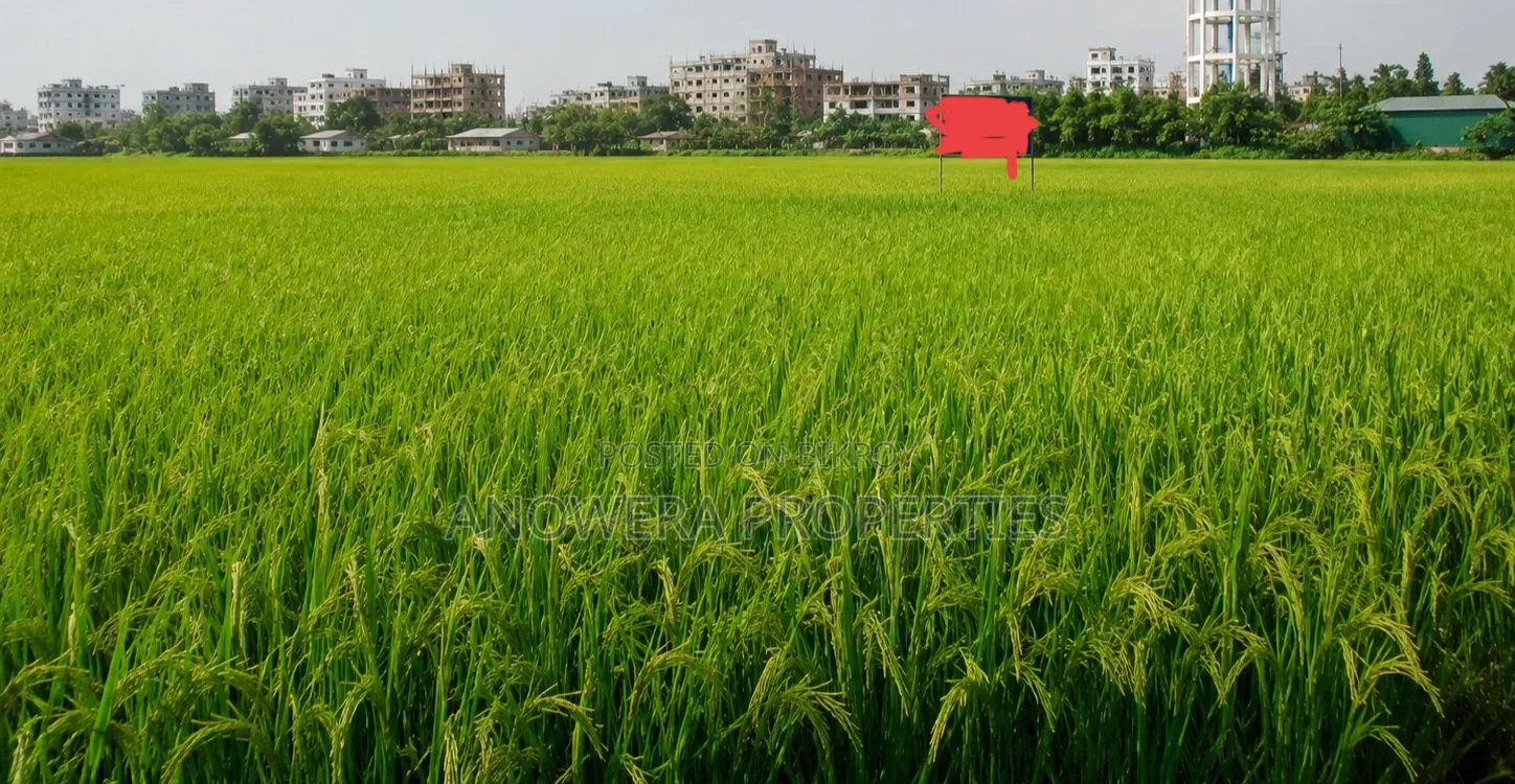 Agricultural Land for Sale Located at Tongi