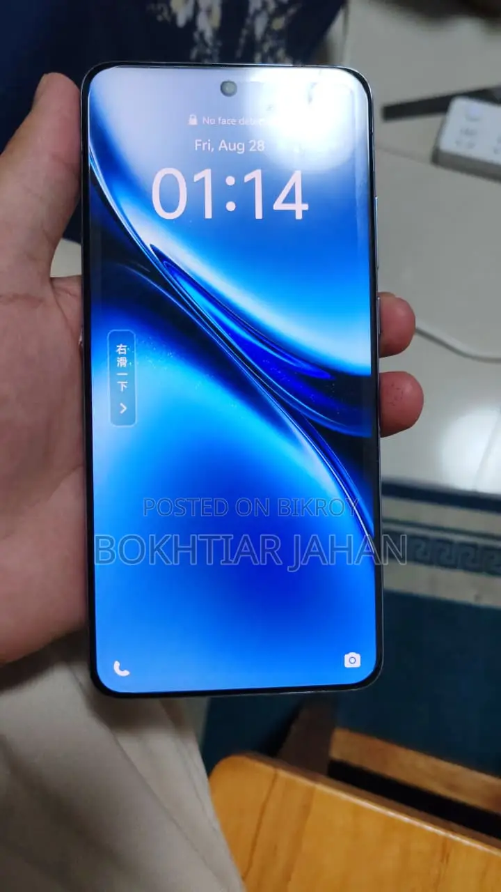 Vivo X200 Pro 512 GB Blue
