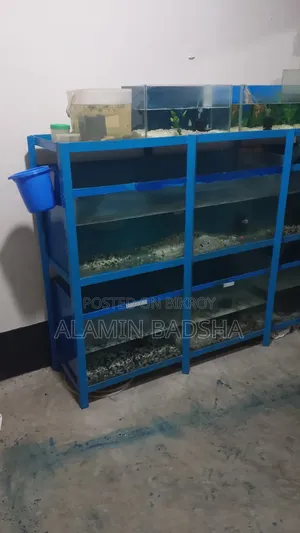 Aqurium Rak for Sale