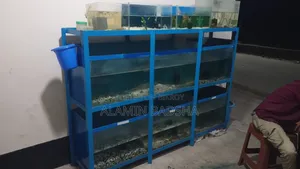 Aqurium Rak for Sale