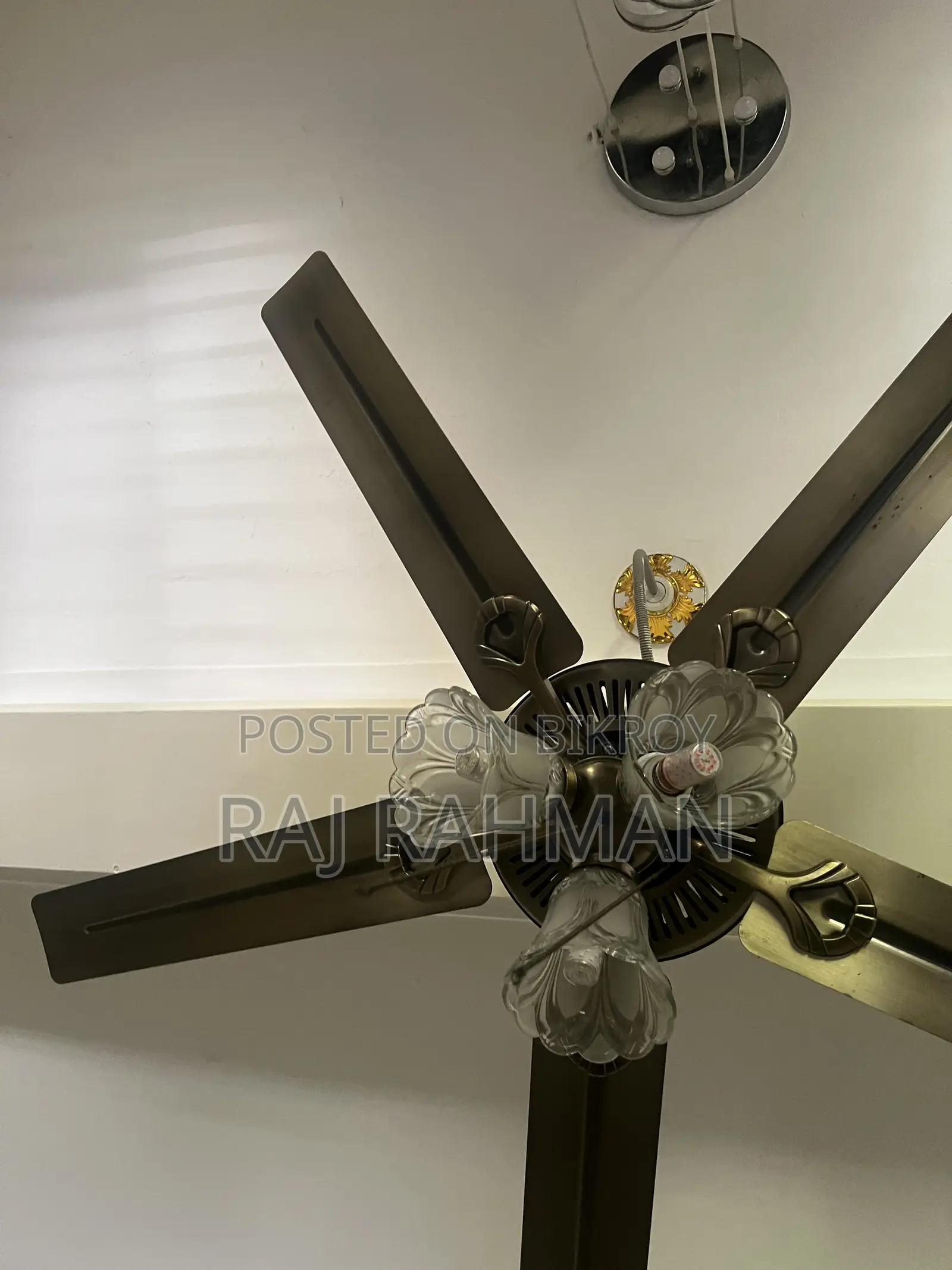 Ceiling Fan