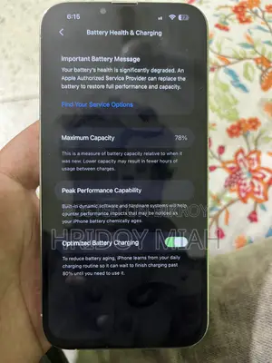 Apple iPhone 13 Pro Max 256 GB