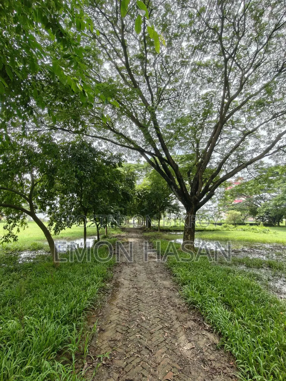 Ready Plot - 3 Katha - Ashulia Model Town