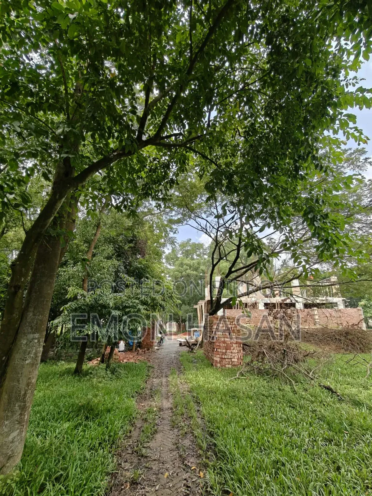 Ready Plot - 3 Katha - Ashulia Model Town