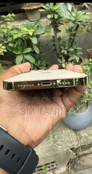Apple iPhone 12 Pro 512 GB Gold