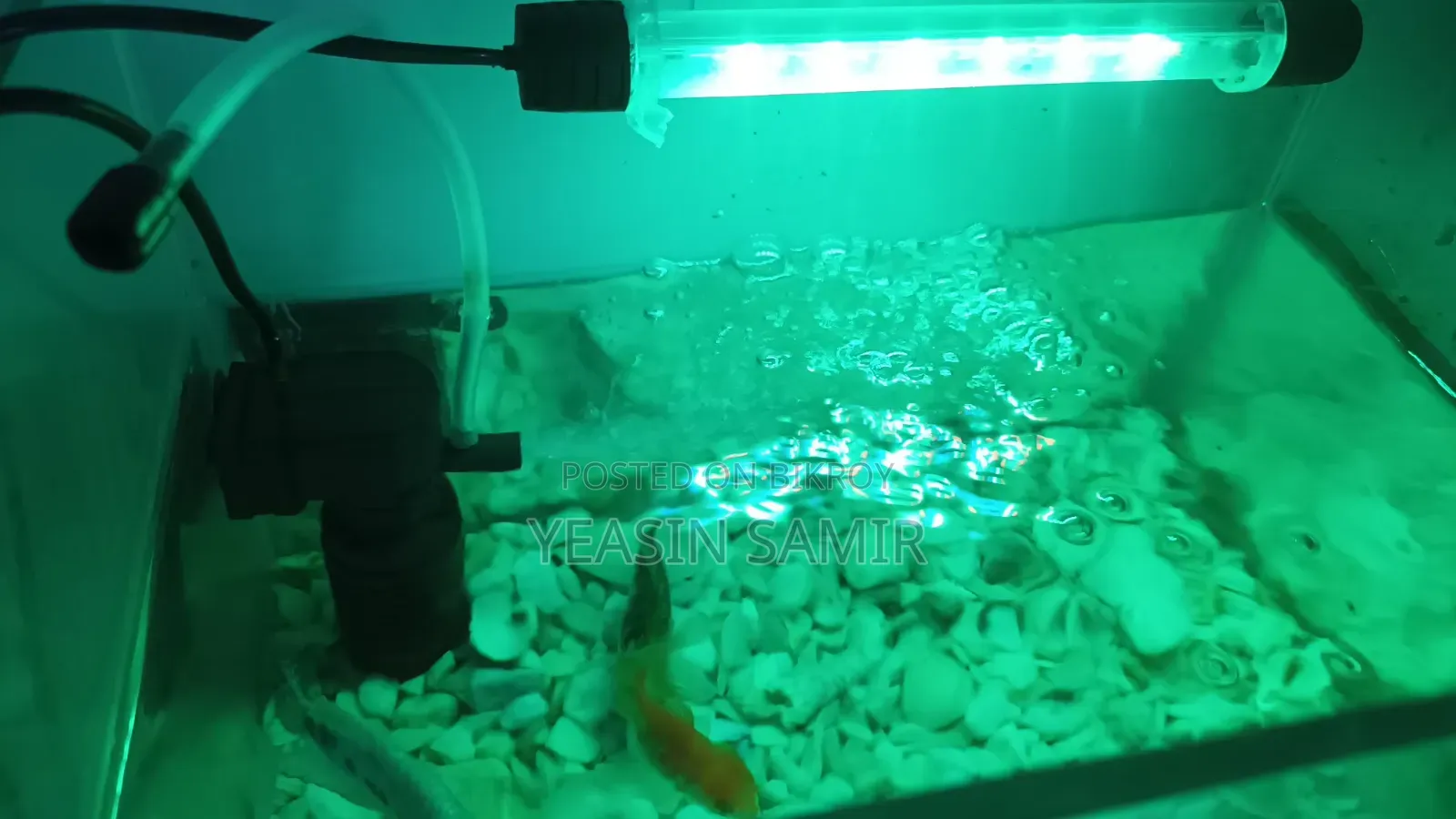 Aquarium অনেক ভালো