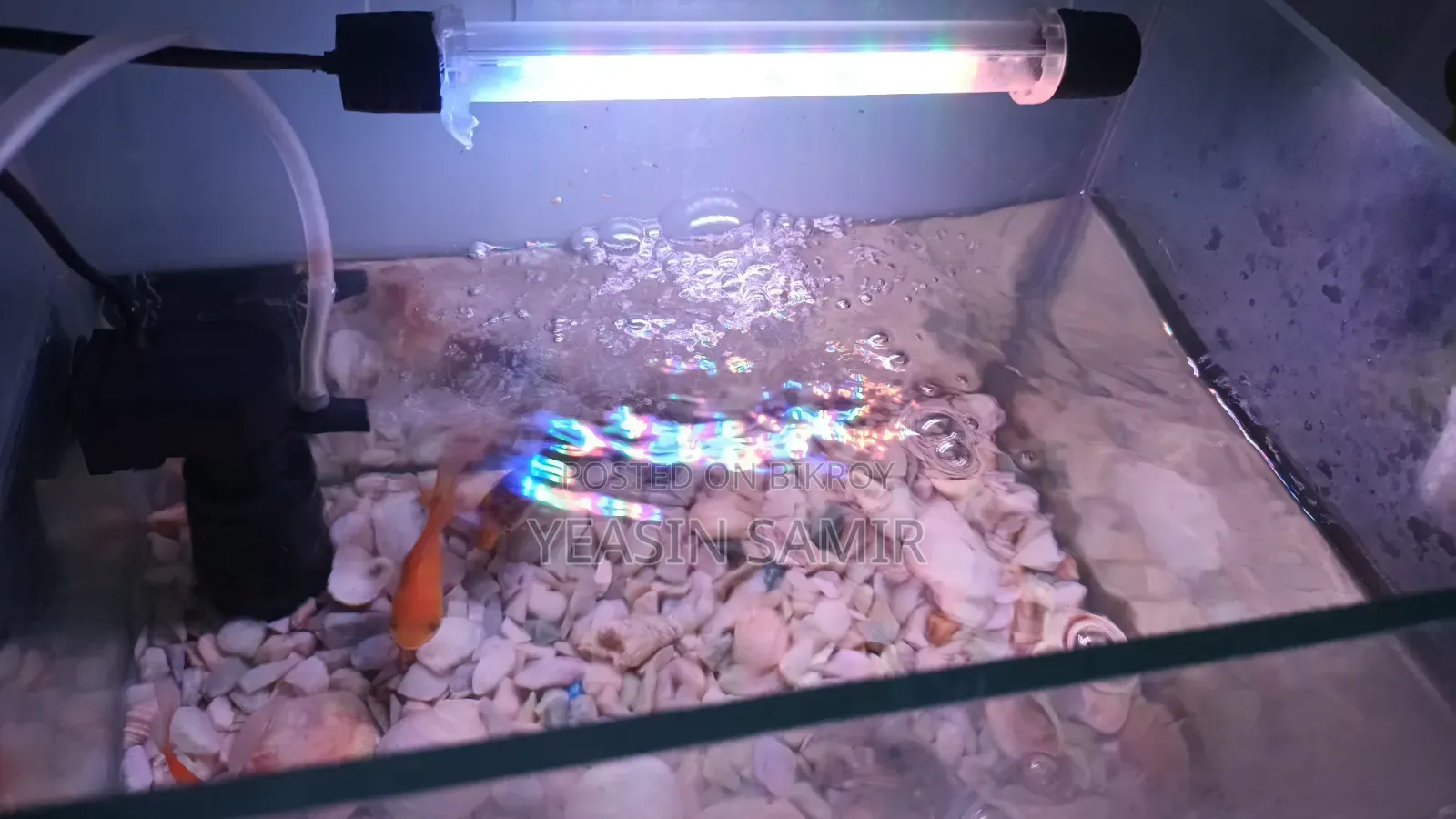 Aquarium অনেক ভালো