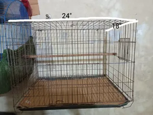 Bird Cage for Sale (24" × 18")