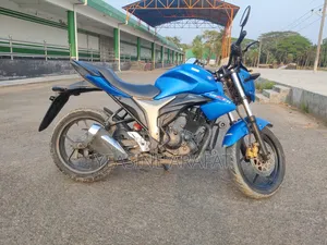 Suzuki 2019 Blue