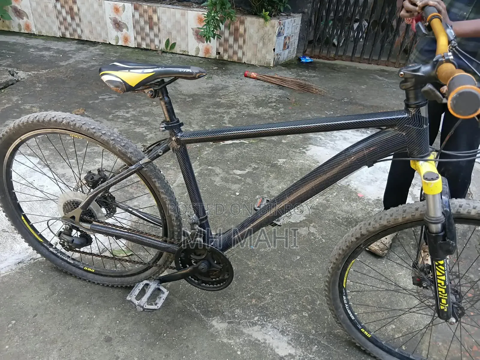 Seventy One Cycle ( New Model)