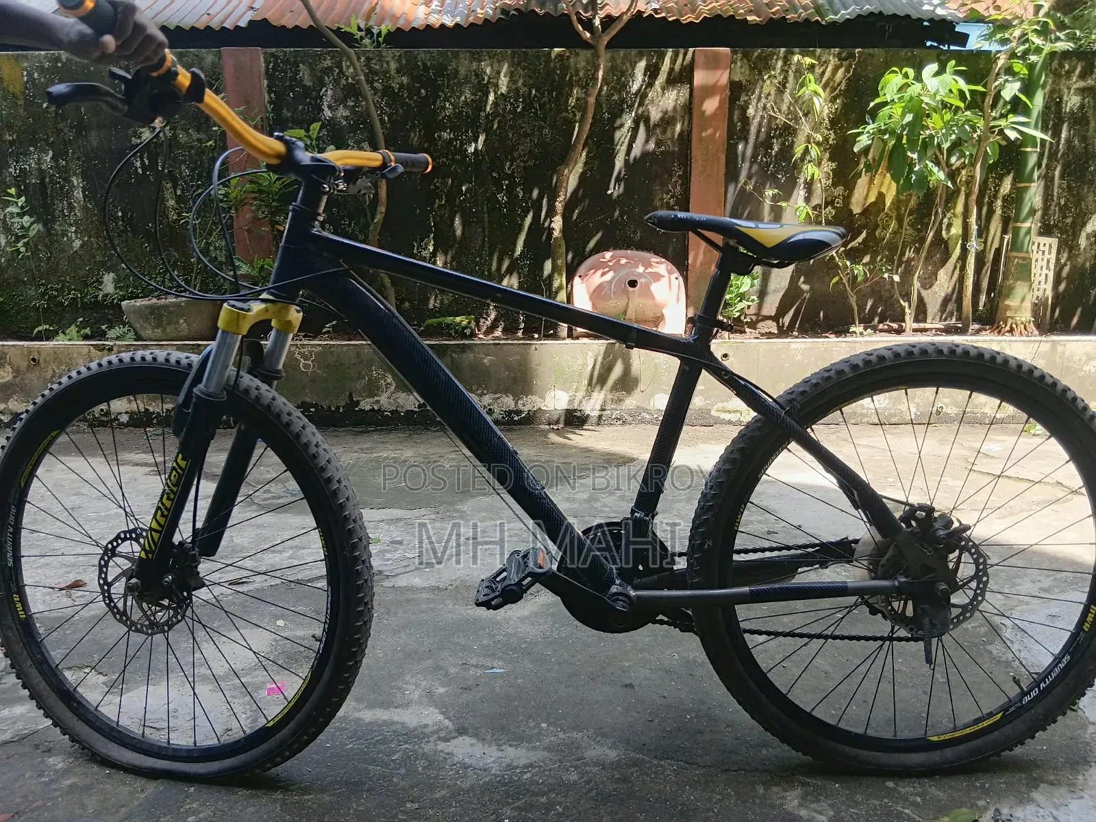 Seventy One Cycle ( New Model)