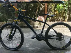 Seventy One Cycle ( New Model)
