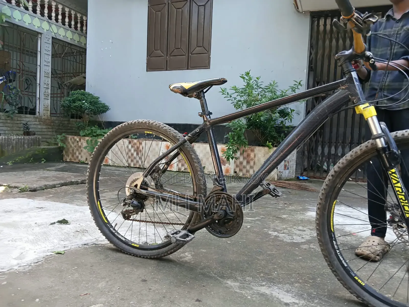Seventy One Cycle ( New Model)