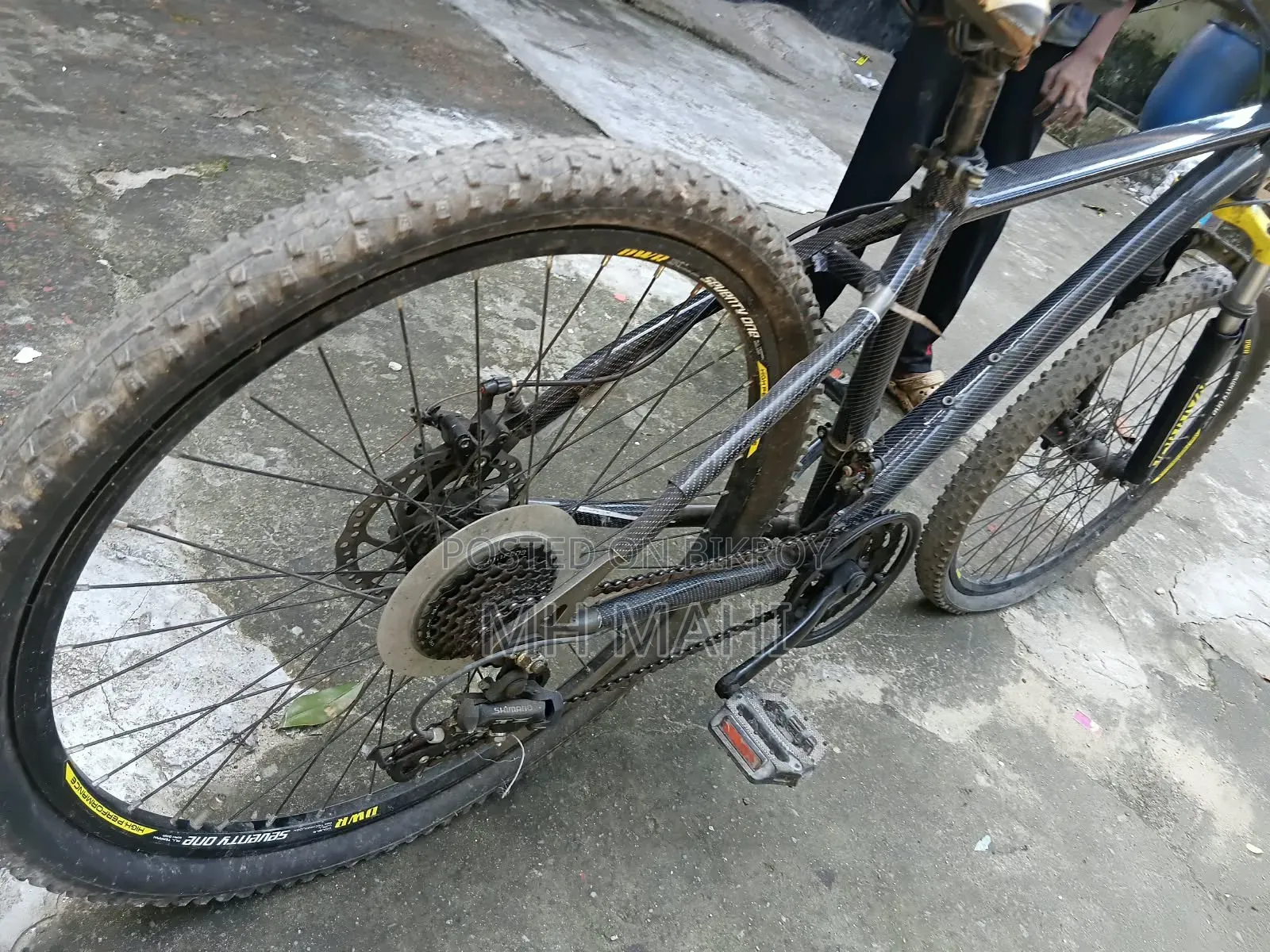 Seventy One Cycle ( New Model)