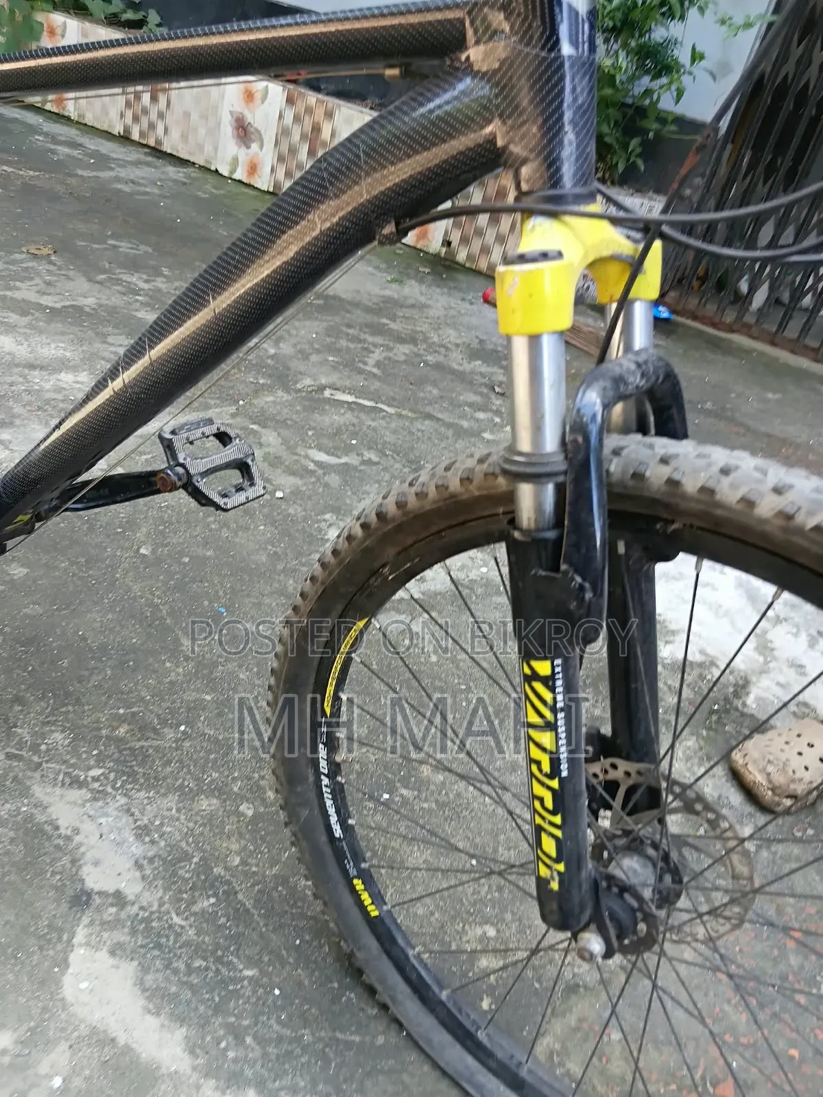 Seventy One Cycle ( New Model)