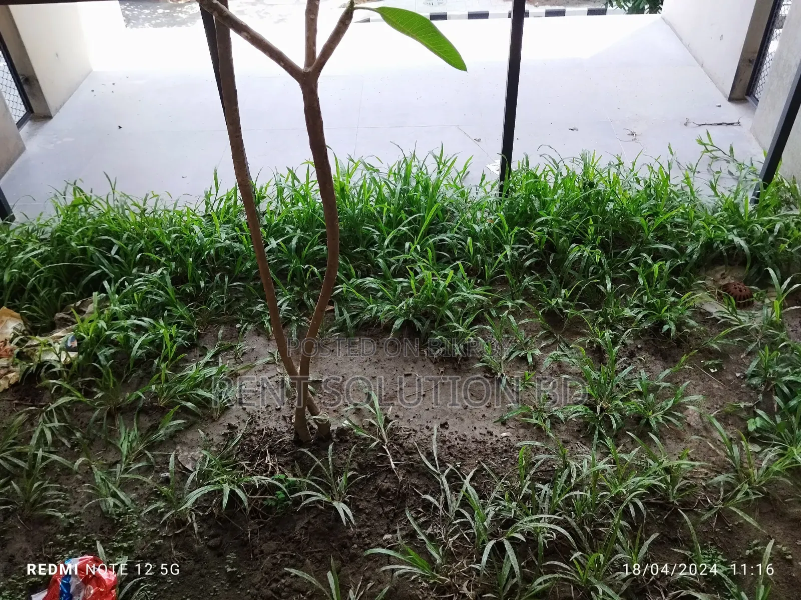 3bdrm Apartment in Banani for rent
