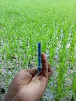 স্যামসাং গ্যালাক্সি এ৫১ ১২৮ জিবি পিংক
