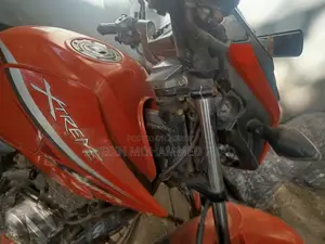 Hero Xtreme Sports 2019 Orange