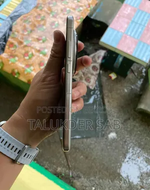 Vivo X200 Pro 512 GB Silver