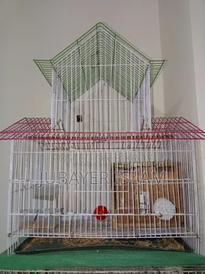 These lovebirds will be sold with cage and inner mineral block.