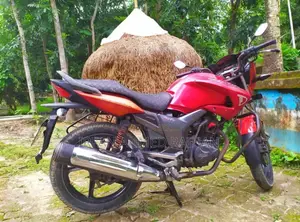 হিরো হাংক ২০১০ লাল