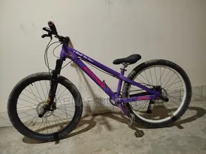 Motorcycle 2025 Purple