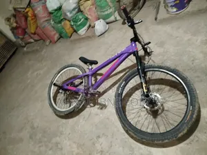 Motorcycle 2025 Purple
