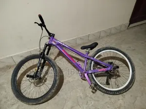 Motorcycle 2025 Purple