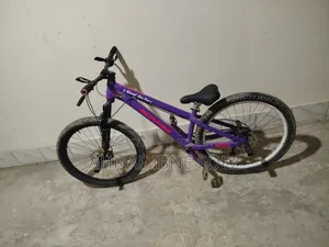 Motorcycle 2025 Purple