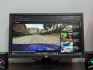 HP V20 Monitor