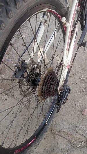 Gear Cycle