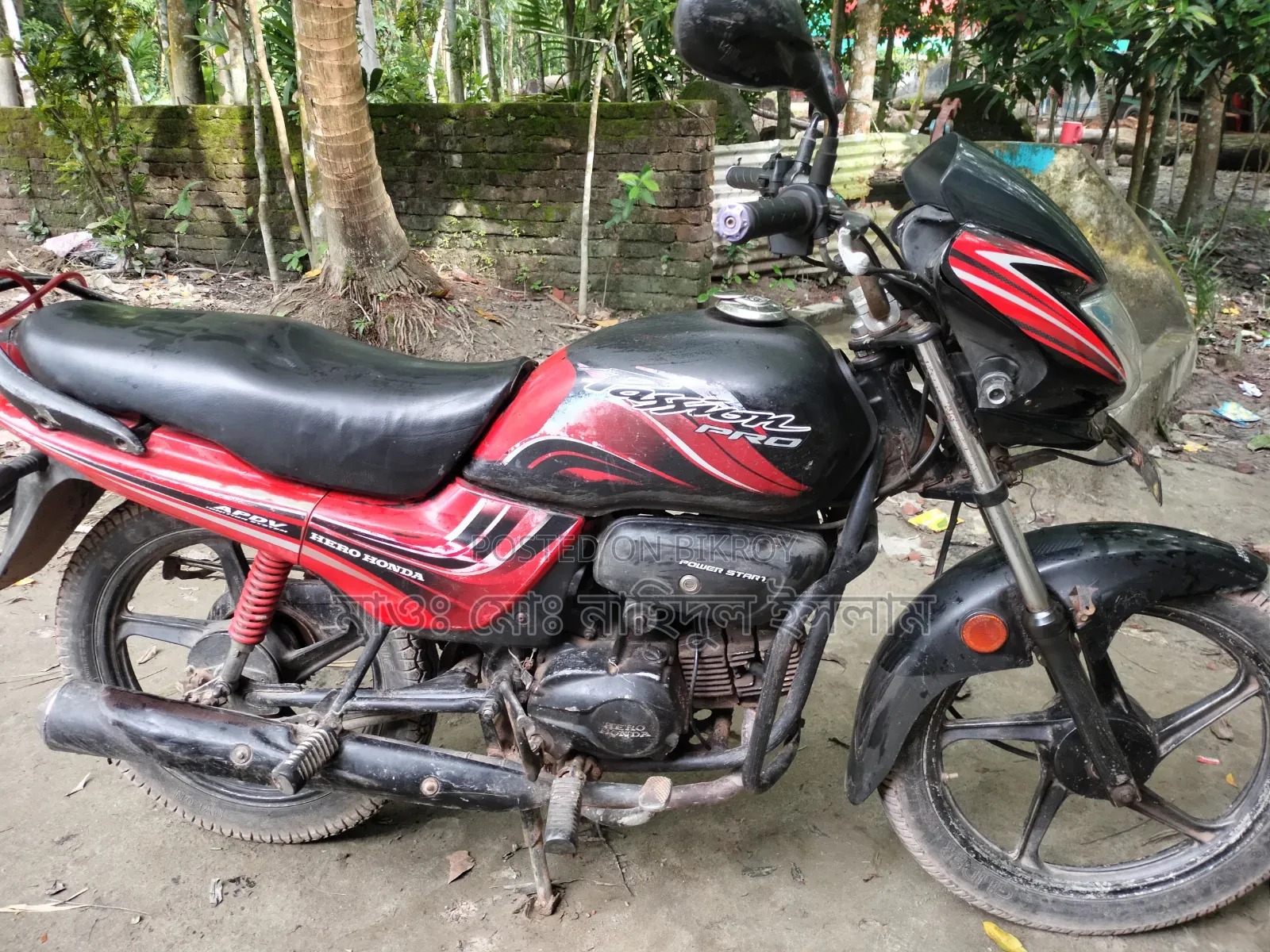 Hero Passion Pro 2013 Red