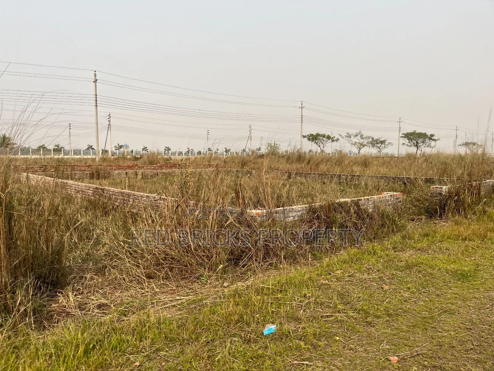 P-Block // 5 Katha // South-Facing // Plot Sale // Bashundhara R/A