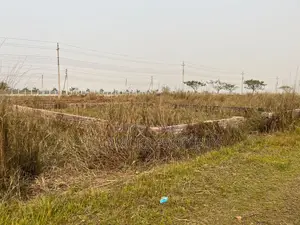 P-Block // 5 Katha // South-Facing // Plot Sale // Bashundhara R/A