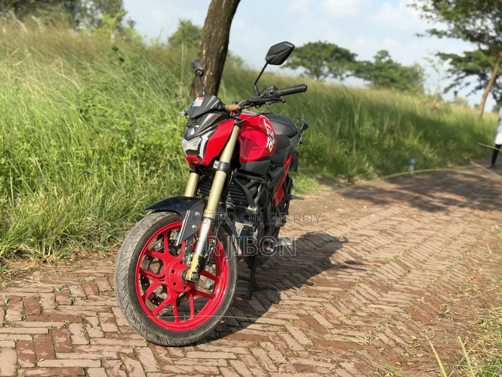 Runner Bolt 165R 2023 Red