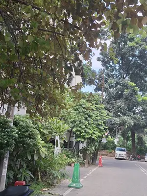 10bdrm Duplex in Banani for sale