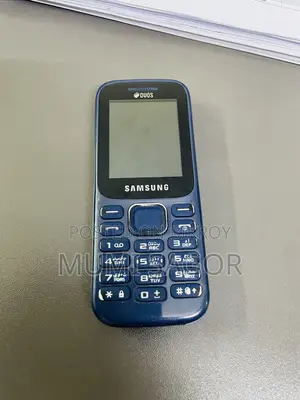 Samsung Guru Music 2 Blue