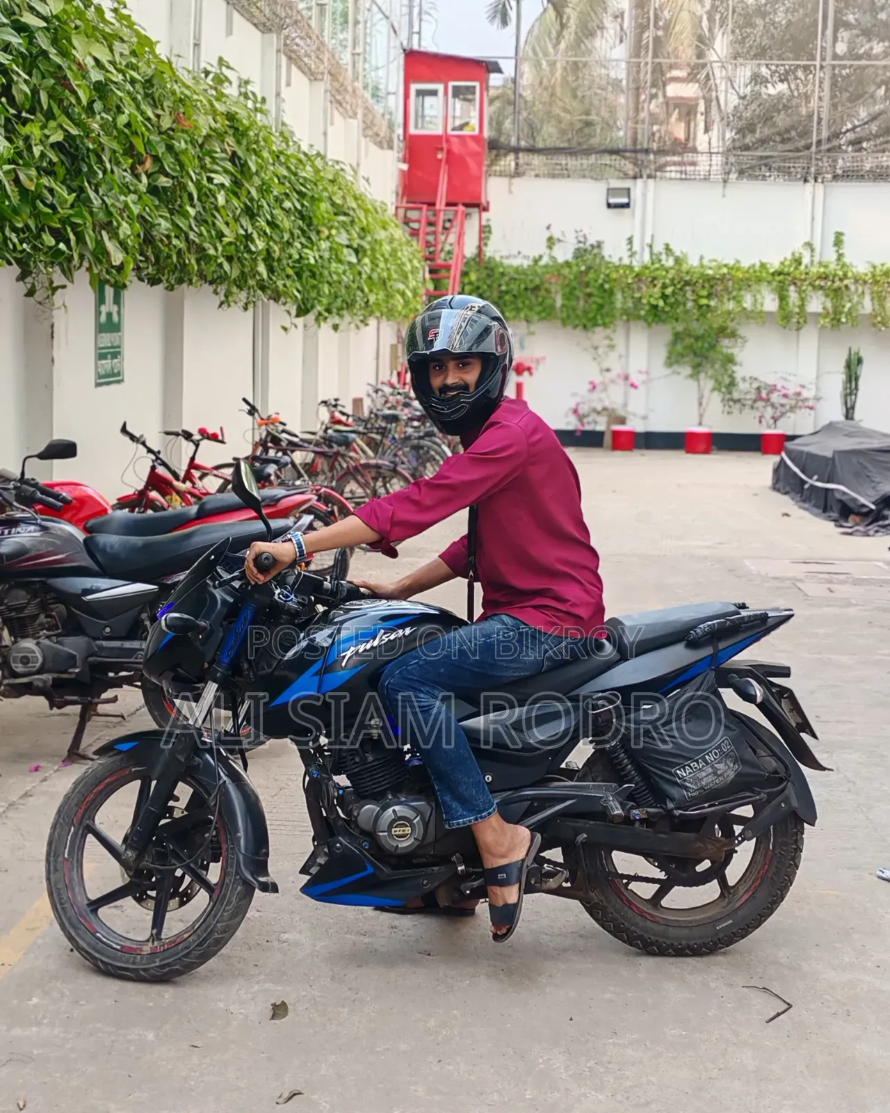 Bajaj Pulsar 150 2019 Blue