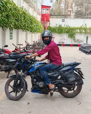 Bajaj Pulsar 150 2019 Blue
