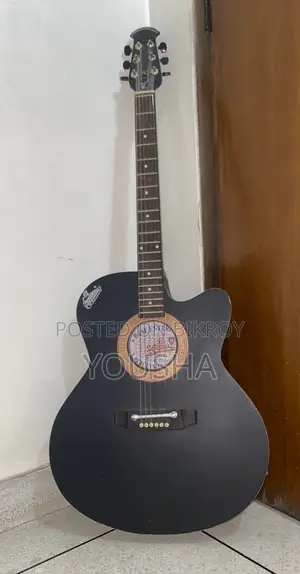 Acoustic Guitar